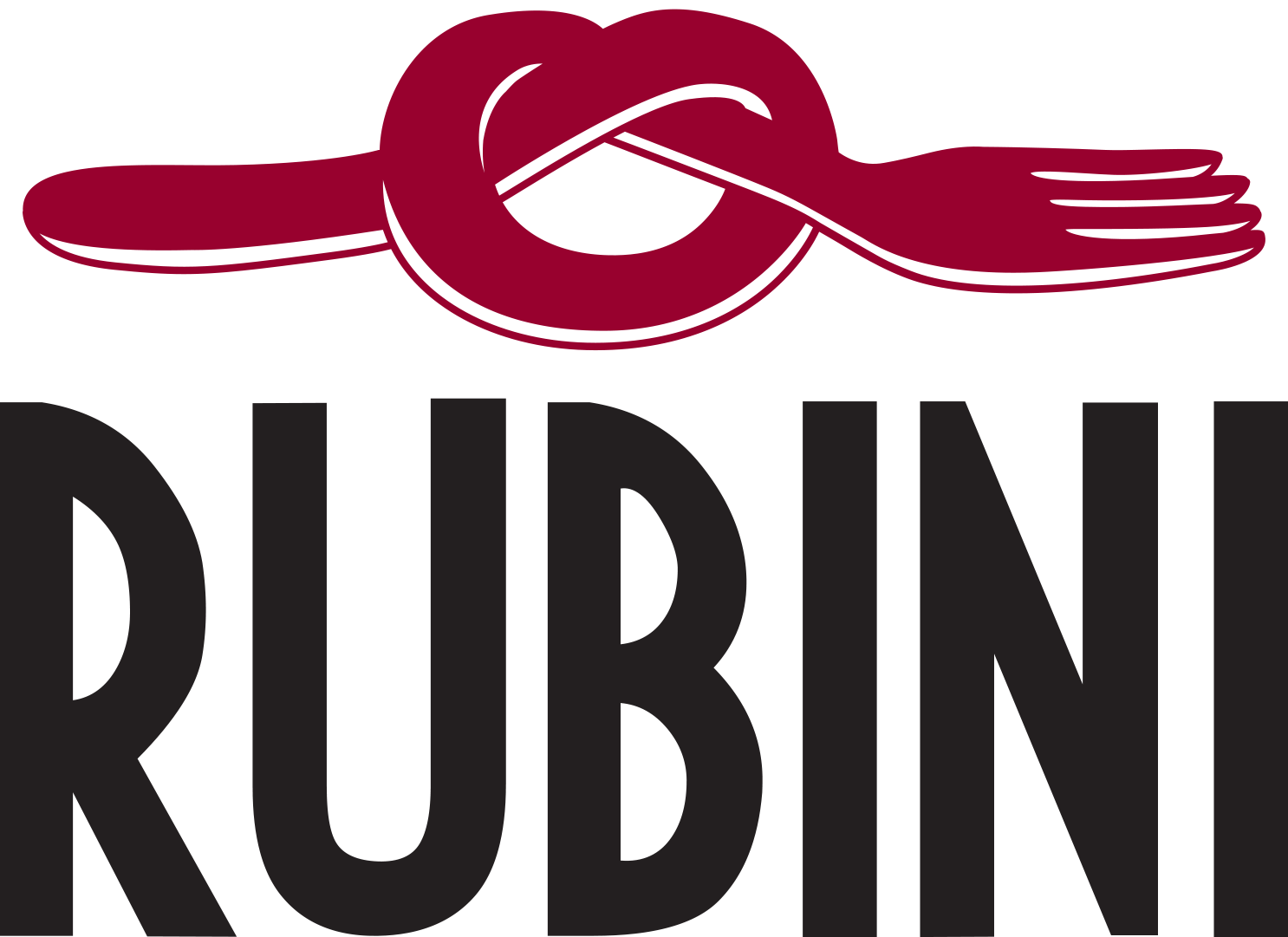 rubini-logo-servizi-cucina